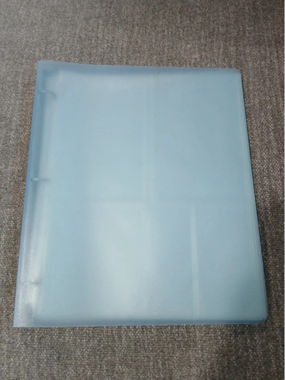 Picture binder organizer